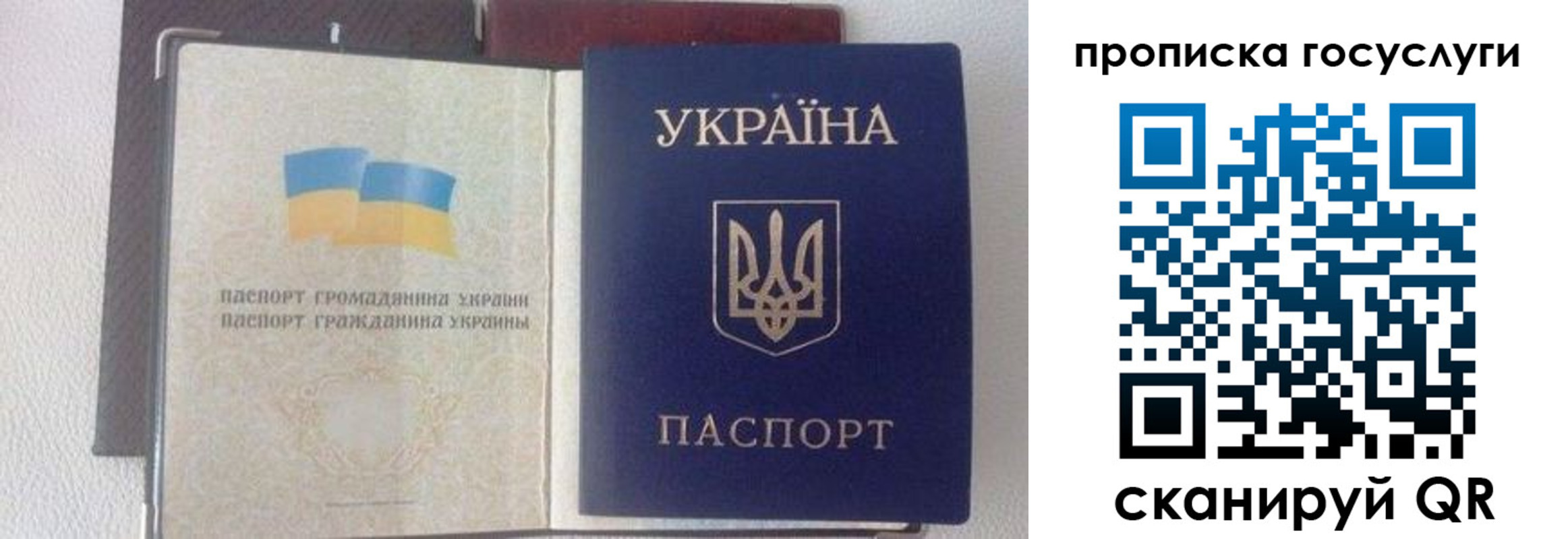временная регистрация недорого в Сельцо
